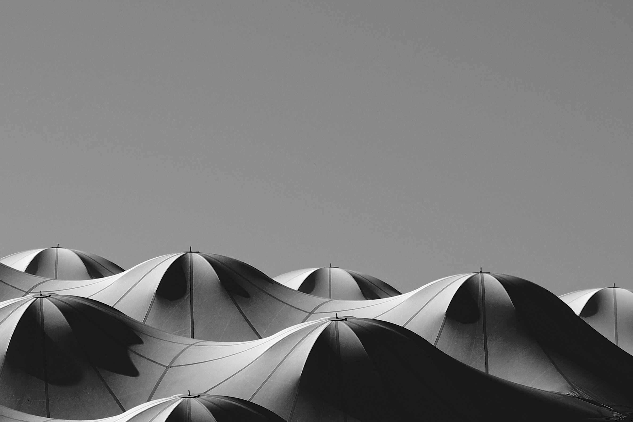 shell.jpeg shell.jpeg