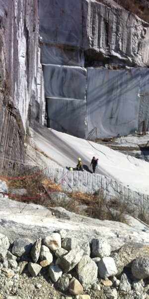 img_7852.jpeg img_7852.jpeg