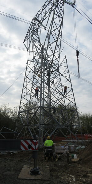 img_6222.jpeg img_6222.jpeg