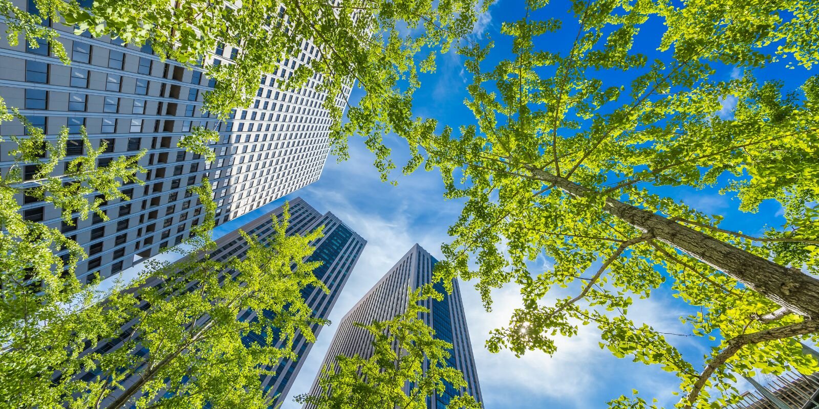 Cosa &egrave; la Due Diligence immobiliare