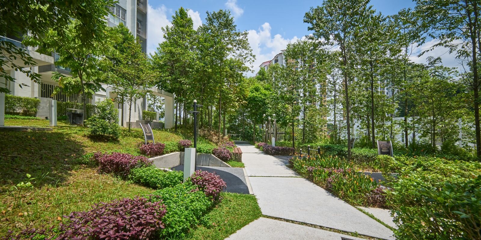 Esperto Edificio Salubre