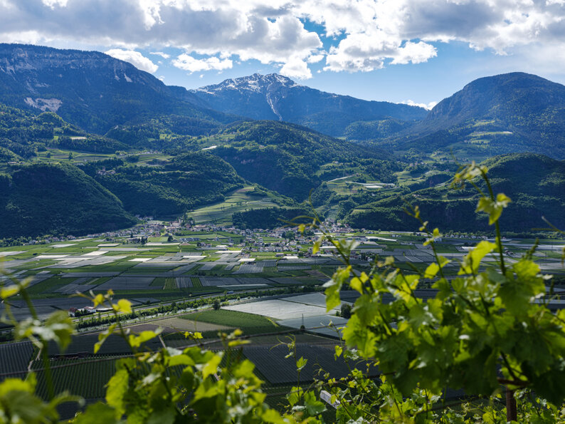 363db52b47be24e2d4cd38862598ec91d245c9fc