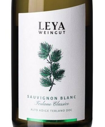 etichetta sauvignon 2.jpeg