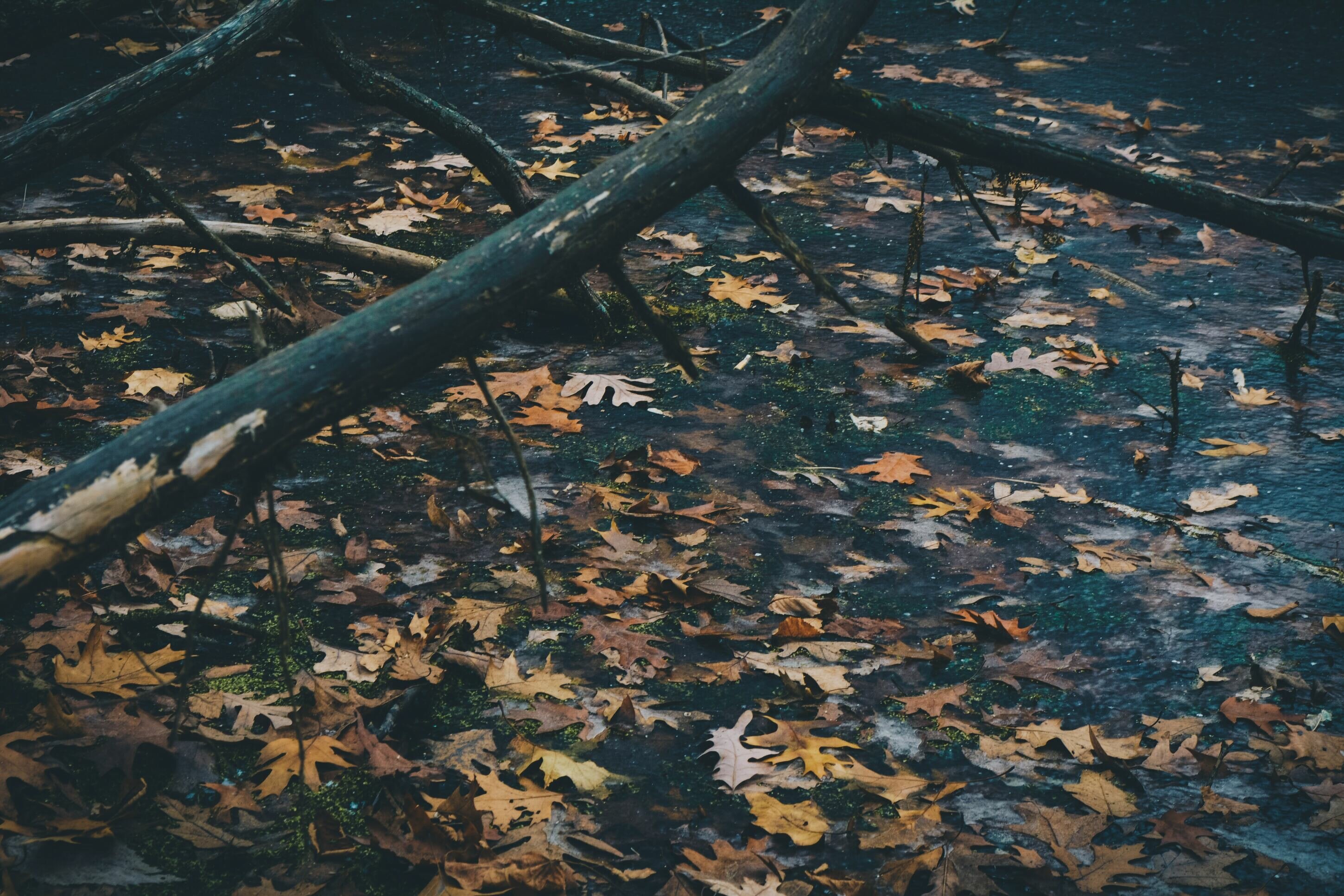 564b361beb6a4290bc27eb437e606edf-92910492.jpg 564b361beb6a4290bc27eb437e606edf-92910492.jpg