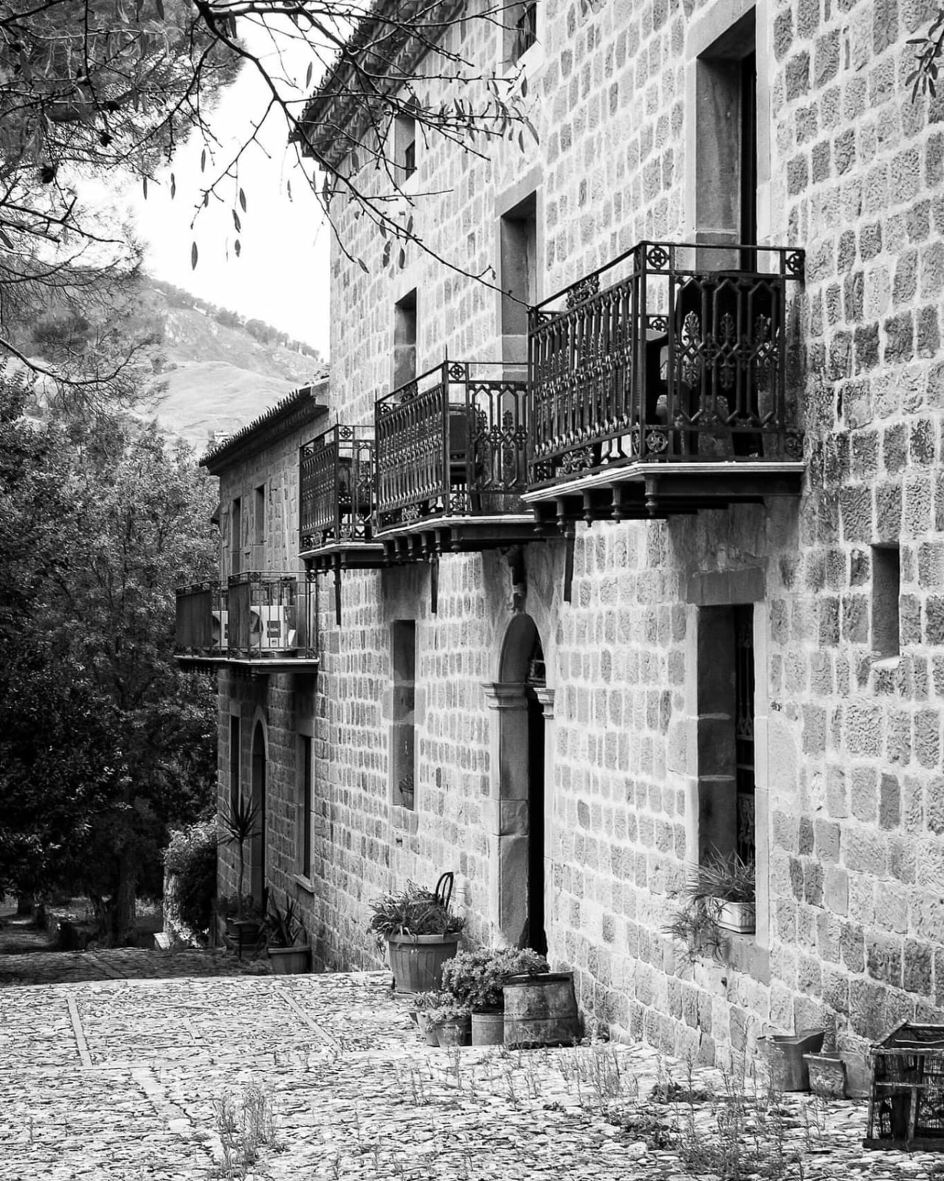 whatsapp image 2025-10-08 at 16.36.21.jpeg whatsapp image 2025-10-08 at 16.36.21.jpeg