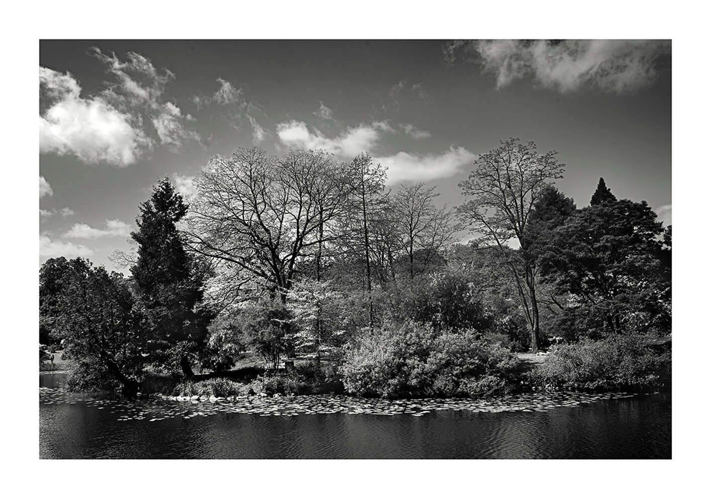 copenhaguen 2025 500.jpeg