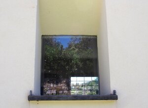 1g_large.jpeg 1g_large.jpeg