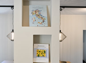 _cum3065.jpeg _cum3065.jpeg