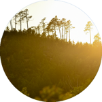 0bce2583a5e2b8fda1c077164b5436f509912c80