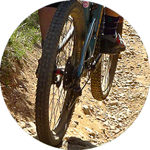 13533d3f08ead71f9746368a28a39fd7ce572de0