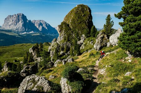 296a71088c5cf329978d415d899466d959e66c49