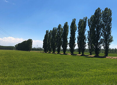 48ac443b3b952530f4cd5e71a2bd7fca02c3347f