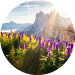 8384cc78117c2445153052aa08dc28ef03bd125f