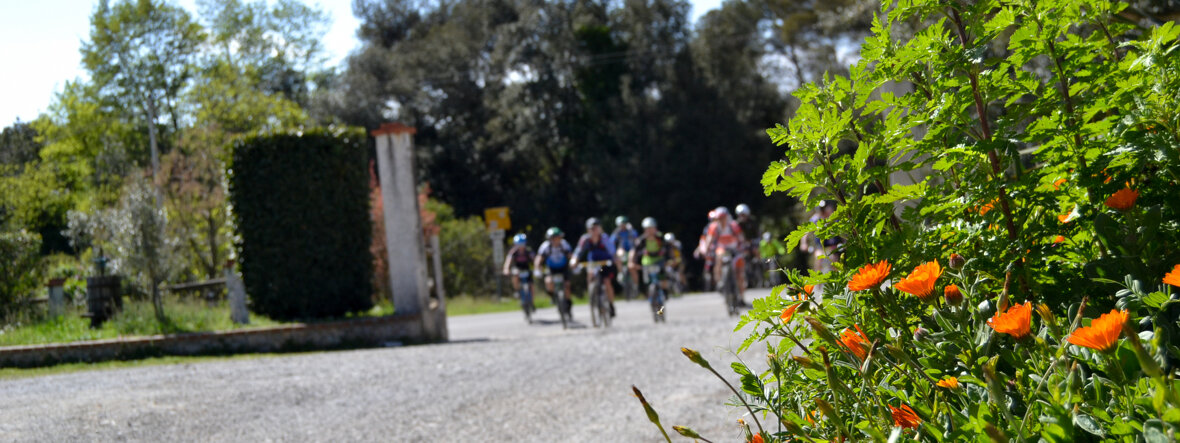 a1f057c657b1df0d05abbc6395daecfd4003e7ea