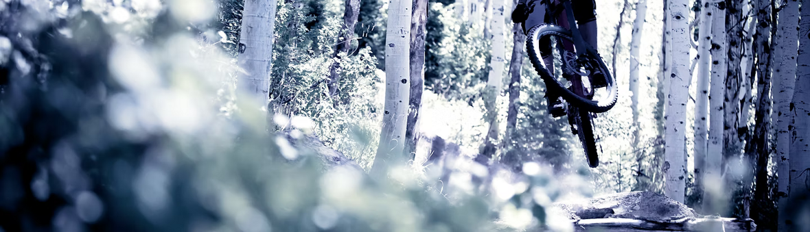 5a99383b3c0943b2a1a8ebff1f66e9bd