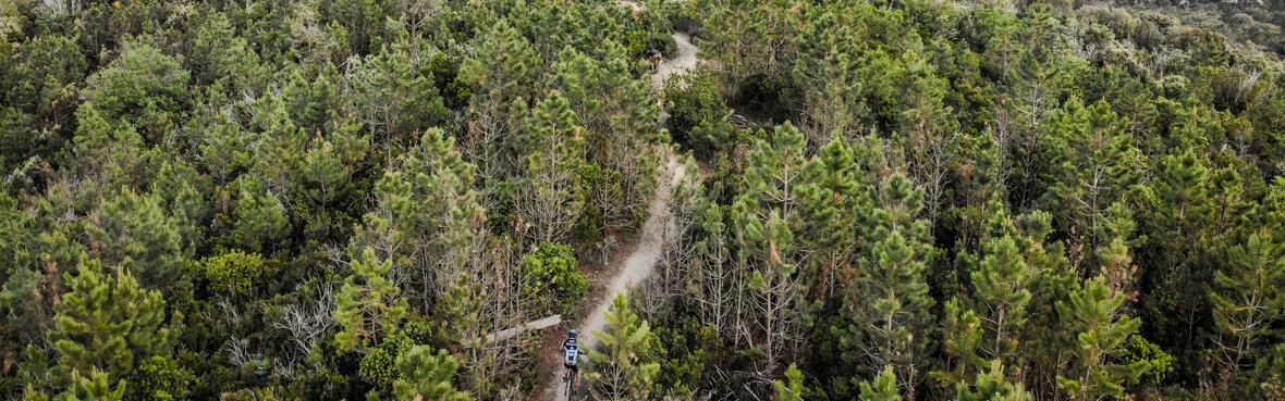 cdd0af5888a7258f0fed3b2d916907fac2aca879