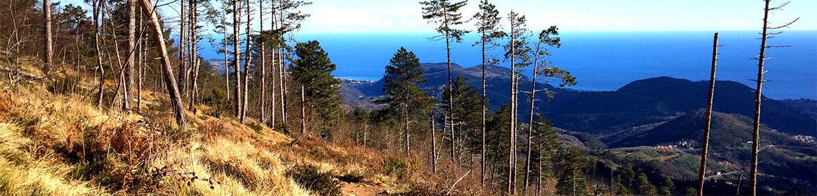 eb7bb9ff0bd6236a913b7ef3eb5af709d39f8848