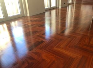 64590271_10217965259501731_6951694156745932800_n.jpeg 64590271_10217965259501731_6951694156745932800_n.jpeg