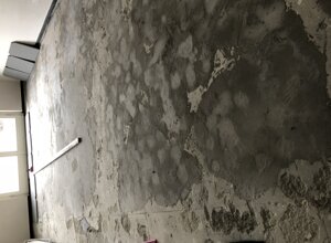 05550.jpeg 05550.jpeg