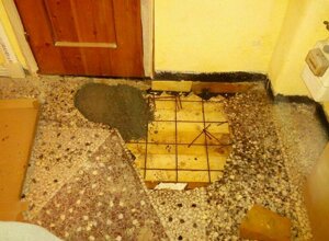 12278808_10206977353850957_8480125327344084706_n.jpeg 12278808_10206977353850957_8480125327344084706_n.jpeg