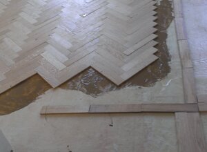 posa_15_ago_16_8_.jpeg posa_15_ago_16_8_.jpeg