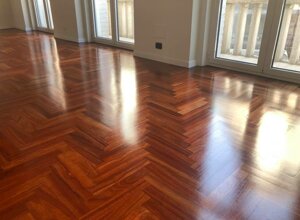 img_9735.jpeg img_9735.jpeg