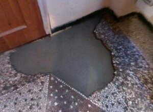 12241446_10206977356891033_1723837040580574145_n.jpeg 12241446_10206977356891033_1723837040580574145_n.jpeg