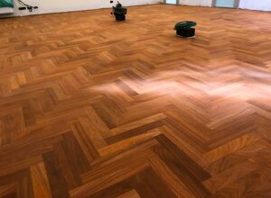 64915054_10217965258341702_3113257703644856320_n.jpeg 64915054_10217965258341702_3113257703644856320_n.jpeg