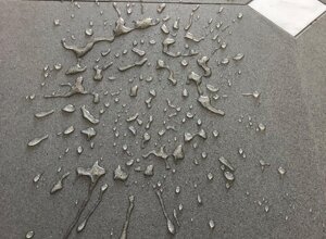 12243126_10206977354970985_4962939305892996811_n.jpeg 12243126_10206977354970985_4962939305892996811_n.jpeg