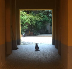 Roma Stampa Fine Art su carta lucida (disponibile in vari formati)