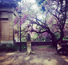 Roma Stampa Fine Art su carta lucida (disponibile in vari formati)