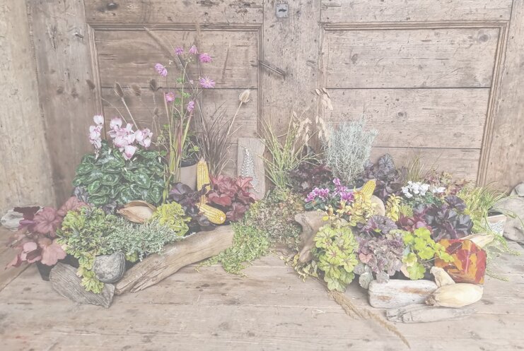 1b6ac568ecf25c739295f435cd5b659f2b211119