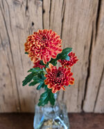 chrysanthemum-ellison-orange
