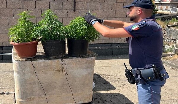 Coltiva marijuana sulla terrazza di casa, diciannovenne di Biancavilla individuato e arrestato dalla Polizia di Stato