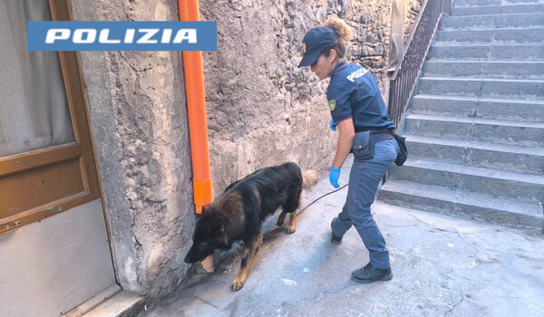 Nasconde la droga nel garage ma il cane poliziotto Maui la fiuta, denunciato spacciatore dalla Polizia di stato