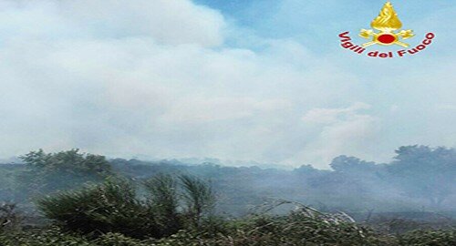 Incendio nel Parco dell'Etna in zona Monte Ilicio, impegnati Vigili del Fuoco e Forestale