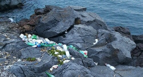 Lungomare, tra degrado e richieste di riqualificazione, le sollecitazioni del consigliere Andrea Cardello