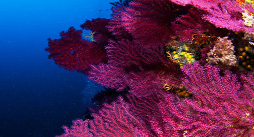 La campagna velica Life A-Mar Natura2000 approda all&rsquo;arcipelago delle Eolie