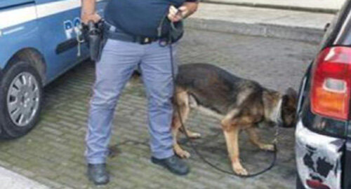 Fermato e sanzionato dalla Polizia posteggiatore marocchino irregolare, denunciato un giovane e sequestrata alla Playa sostanza stupefacente