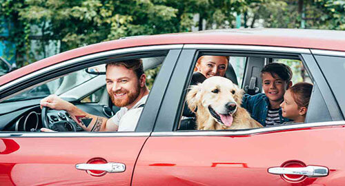 Viaggiare in sicurezza con bambini e animali: ecco i consigli degli esperti Viaggiare in sicurezza con bambini e animali: ecco i consigli degli esperti