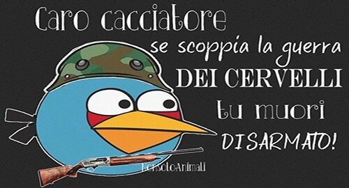 Free Green Sicilia: "No alla pre-apertura della caccia ed alla mattanza indiscriminata di animali"