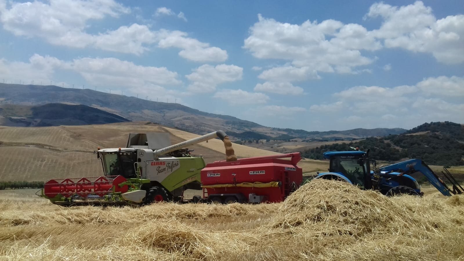 Agricoltura, sulle Alte Madonie rese oltre la media per il grano duro ma prezzi ancora gi&ugrave;