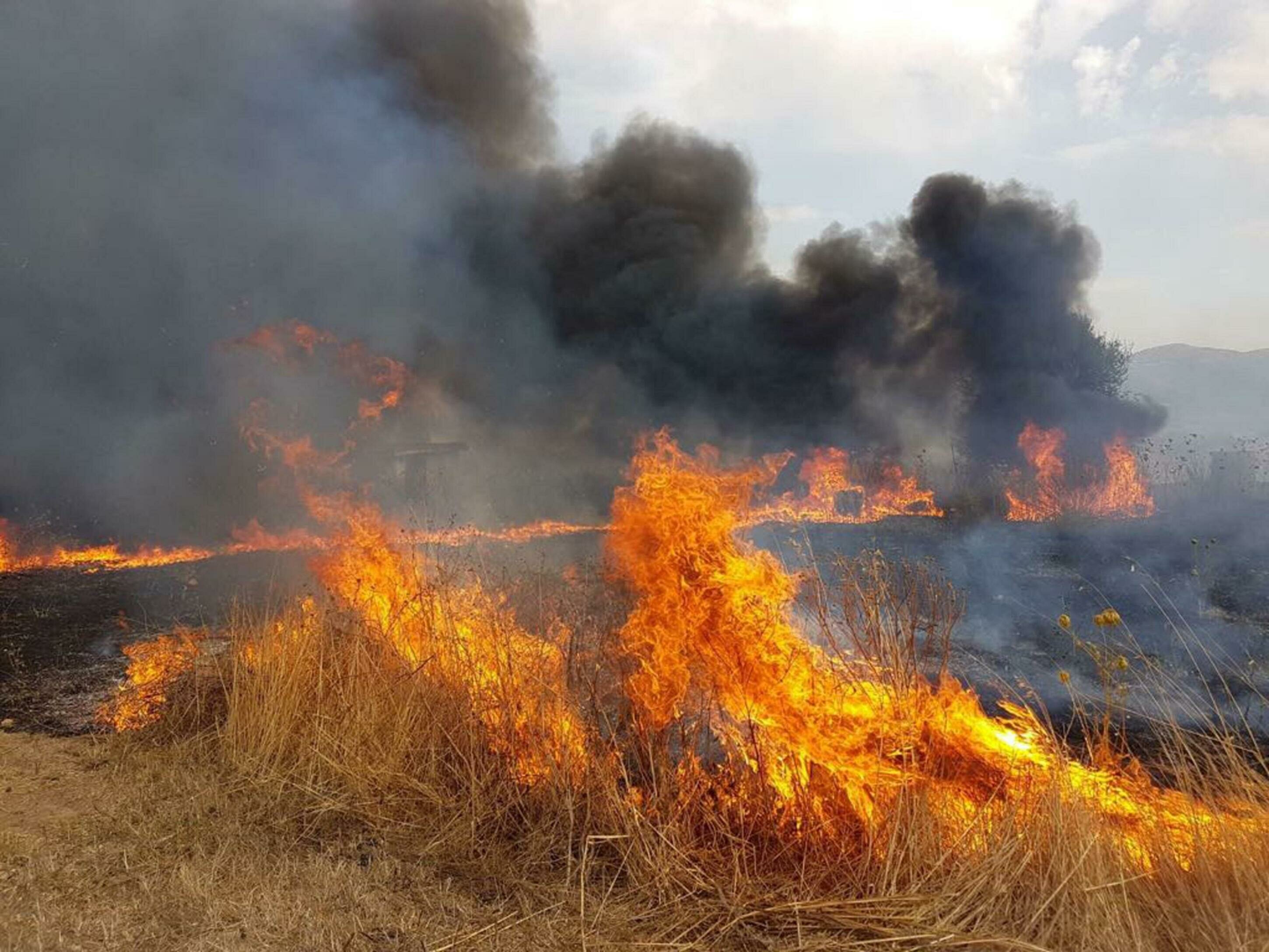 Emergenza incendi nel nisseno: associazioni e gruppi presentano esposto alle procure di Caltanissetta e Gela