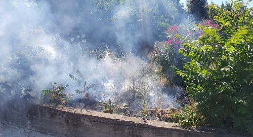 Incendi nel quartiere di San Giovanni Galermo e San Nullo nel IV municipio, richiesto piano prevenzione