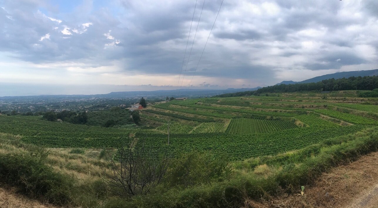 ViniMilo: 2000 bottiglie stappate e 300 etichette in degustazione nei quindici giorni da &ldquo;Capitale&rdquo; della cultura del vino dell&rsquo;Etna
