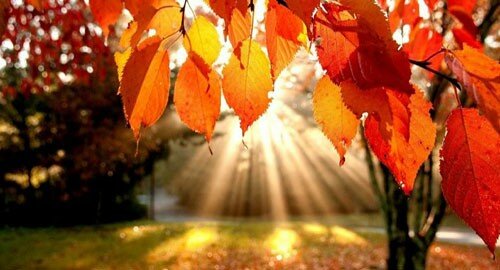Benvenuto Autunno, arrivederci Estate!