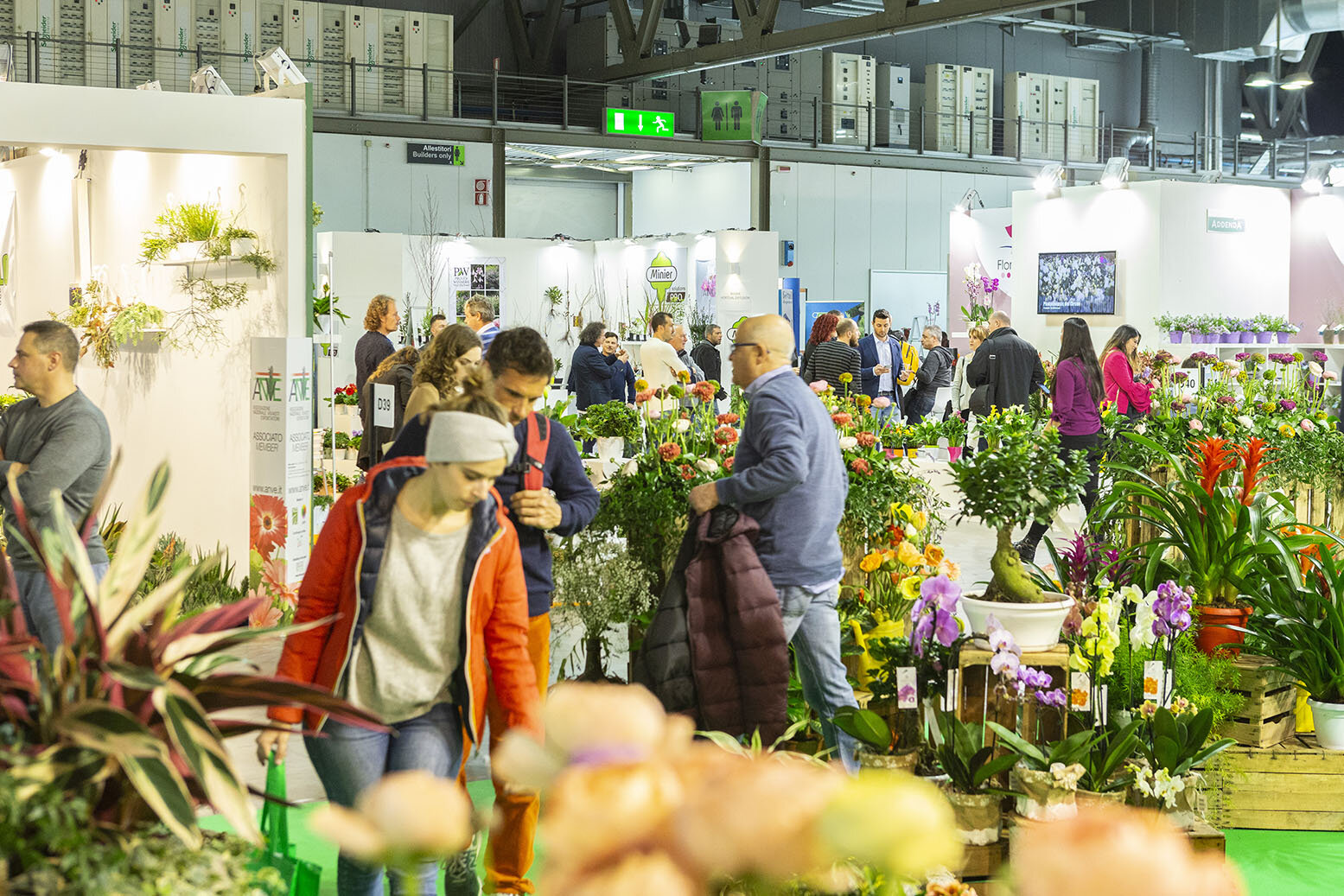 Piante e fiori, la Sicilia seconda regione italiana con il 14% del mercato