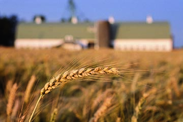 "Agrisociale San Cono" il 25 luglio convegno apertura progetto