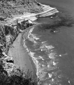 scala-dei-turchileone-260x300-1570380347.jpg