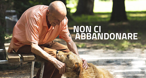 Cani e anziani abbandonati in estate, arriva la campagna di sensibilizzazione a loro dedicata